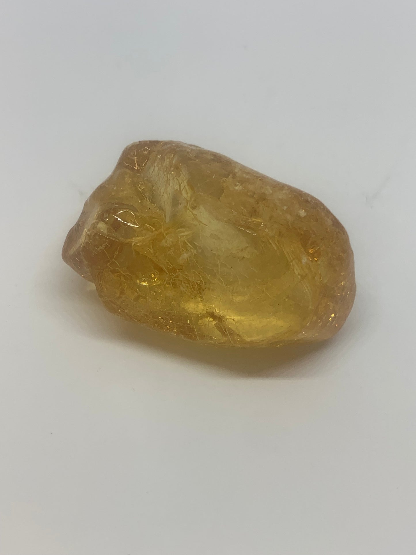 Amber Specimen