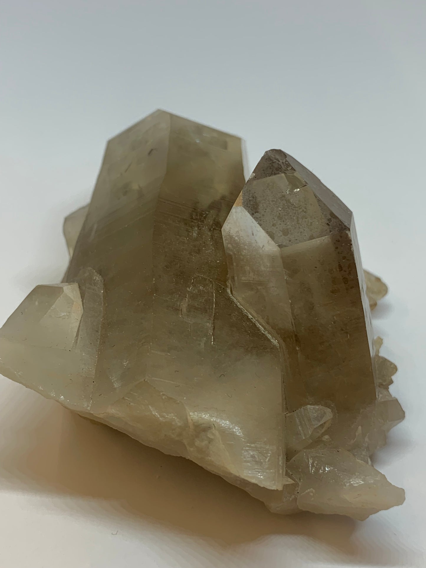 Smoky Quartz Cluster