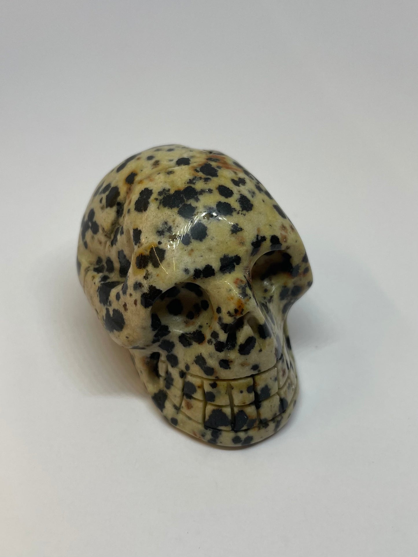 Dalmatian Jasper Skull