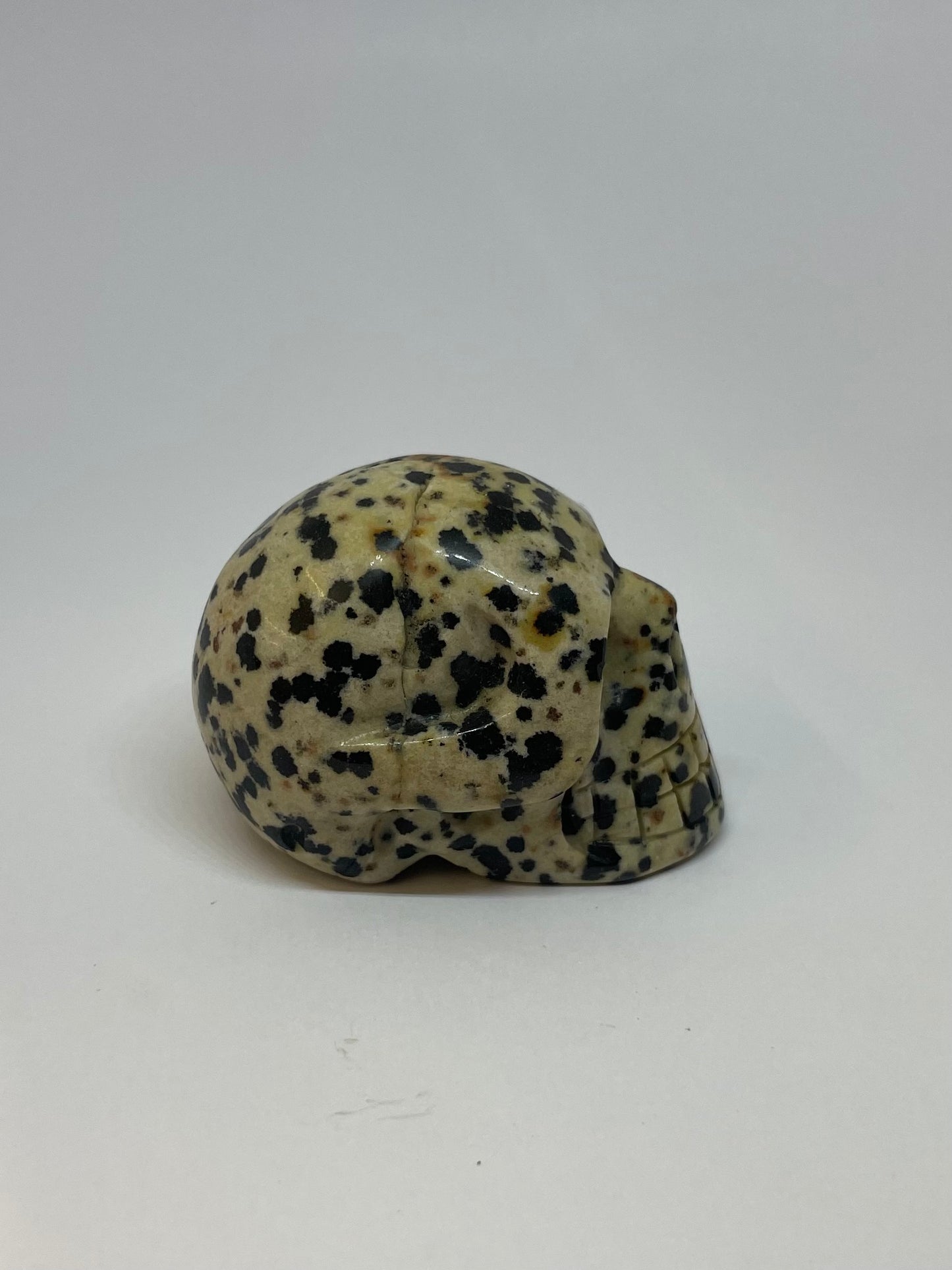 Dalmatian Jasper Skull