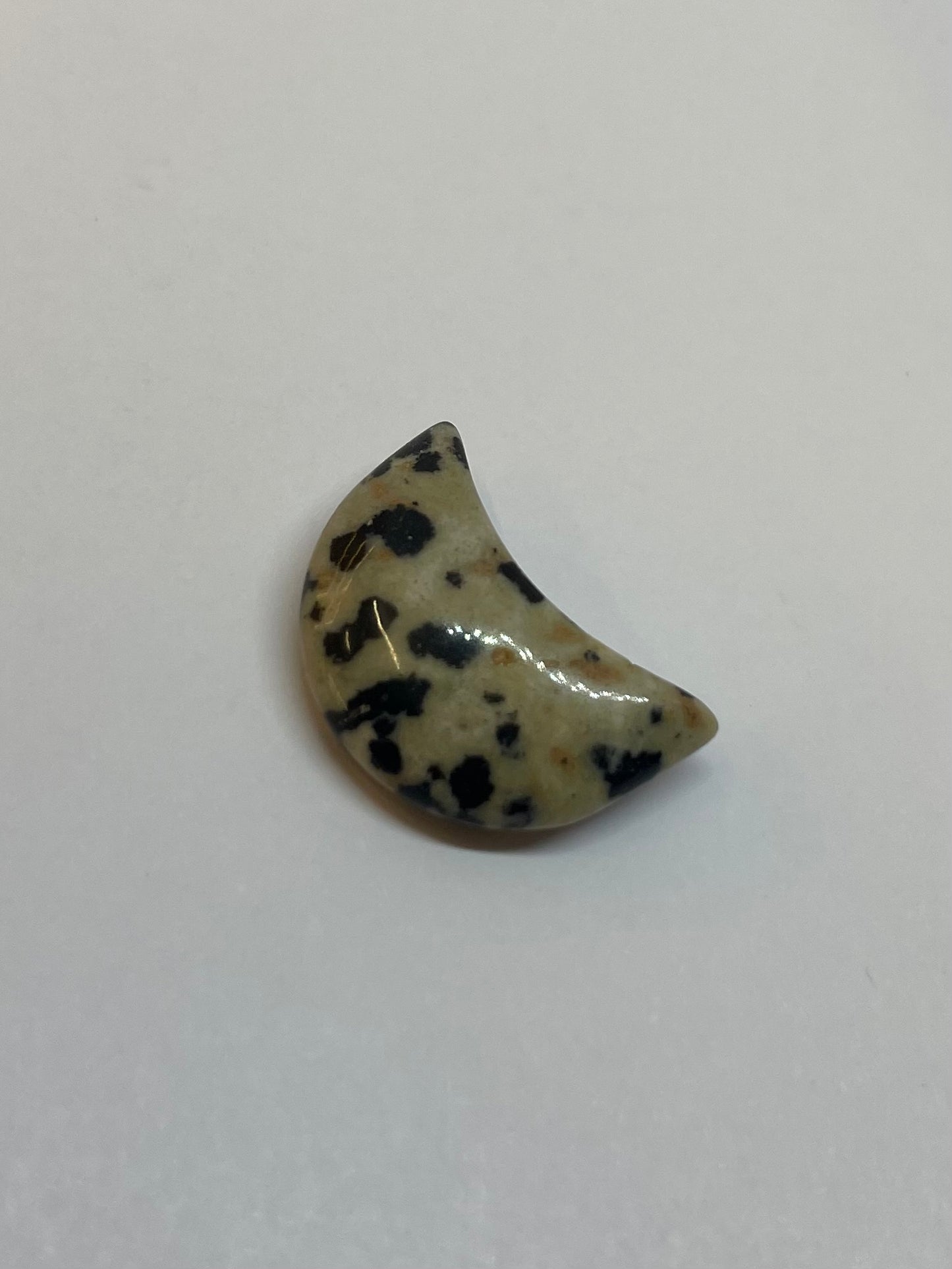 Dalmatian Jasper Moon