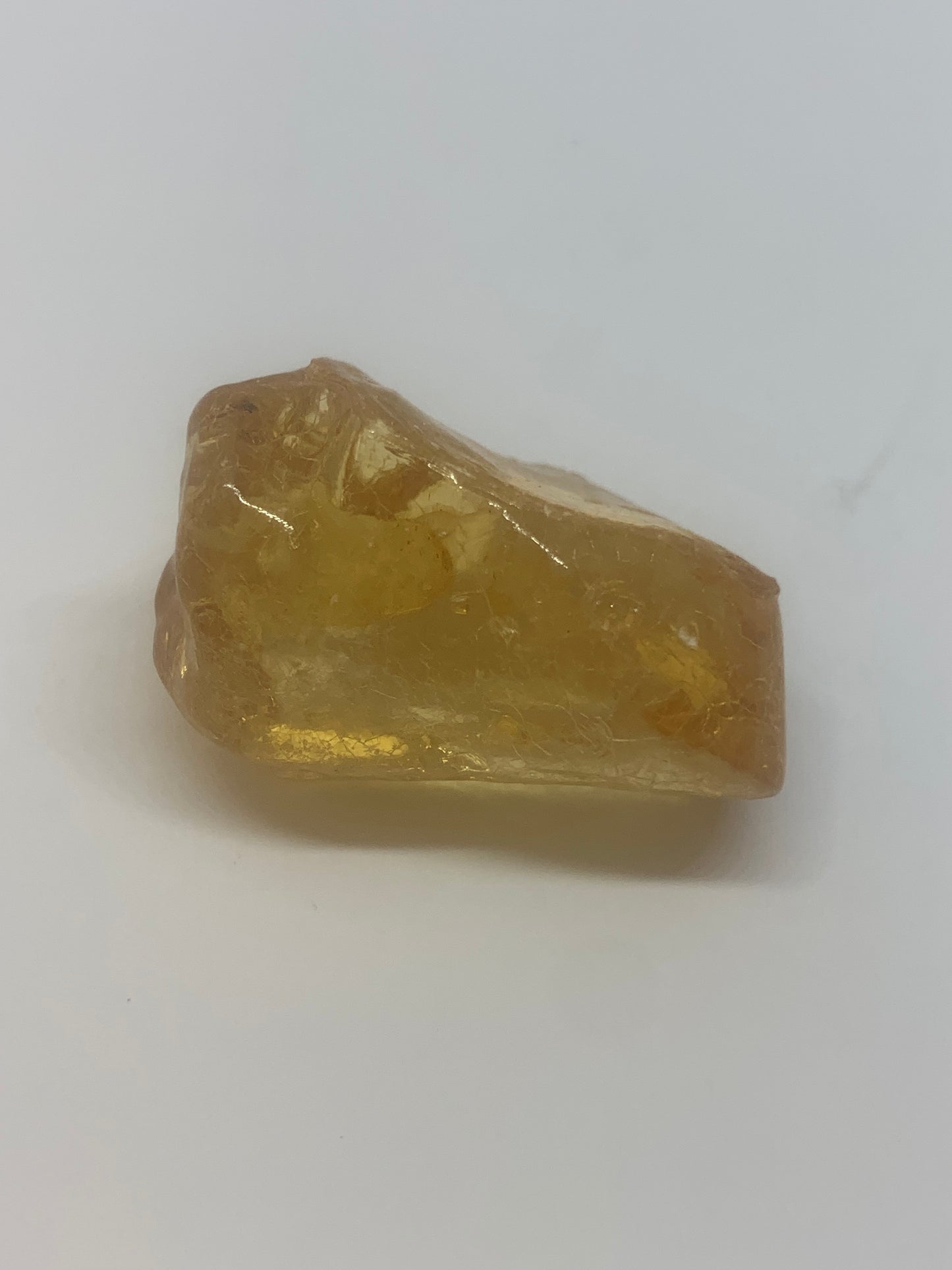 Amber Specimen