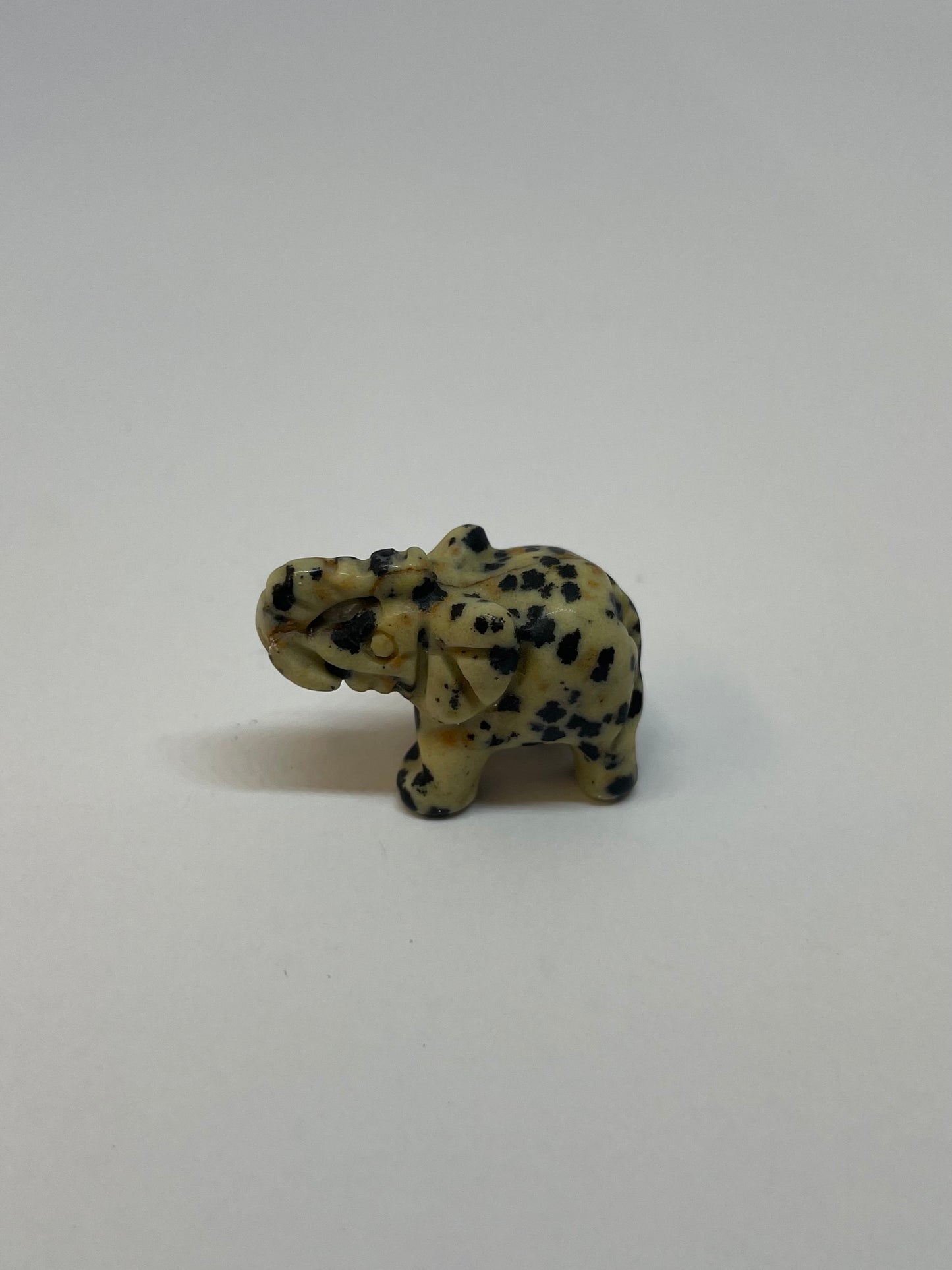 Dalmatian Jasper Elephant