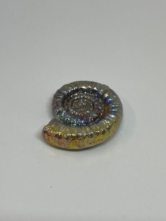 Bismuth Ammonite