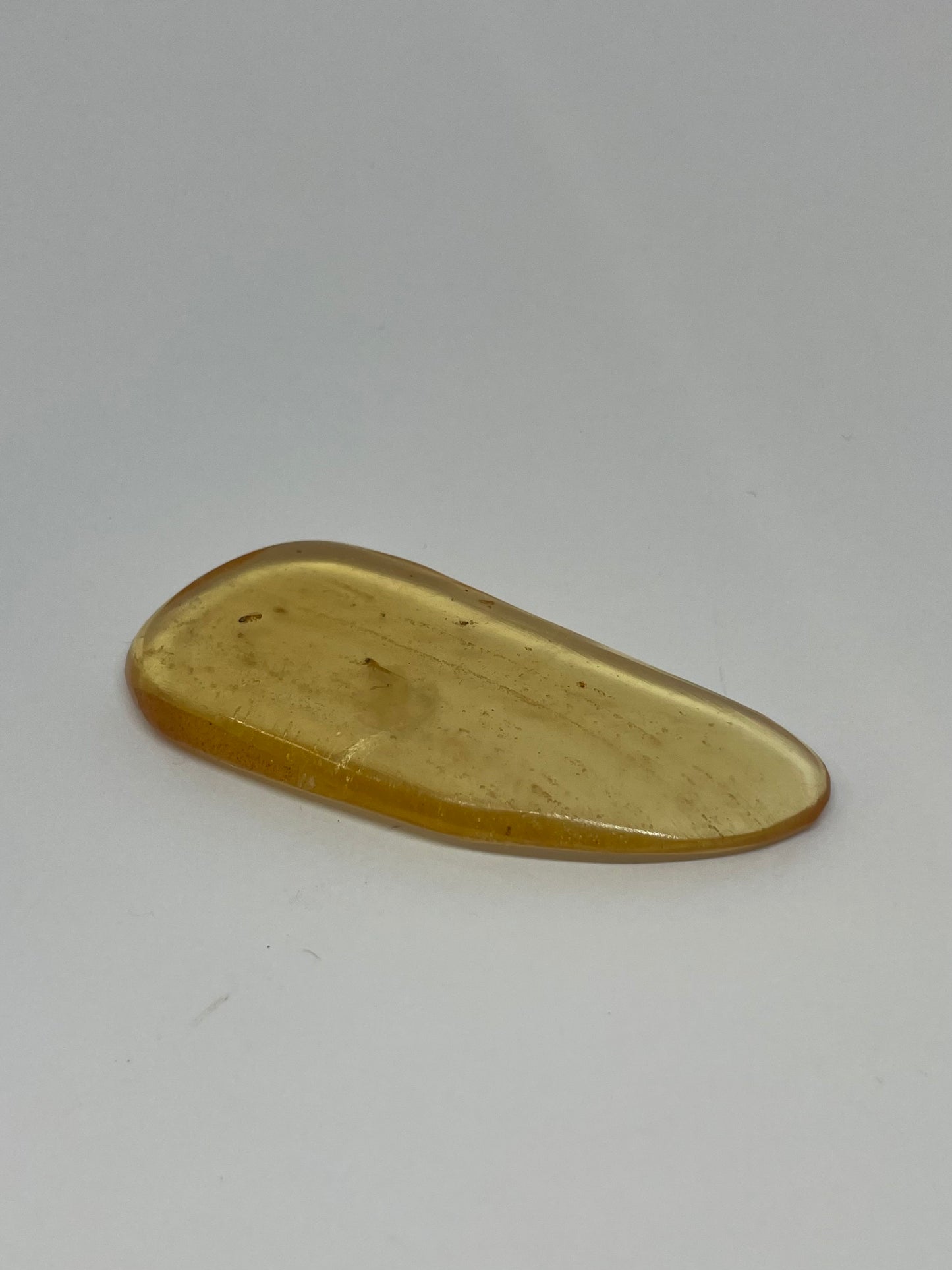 Amber With Insect Inclusion