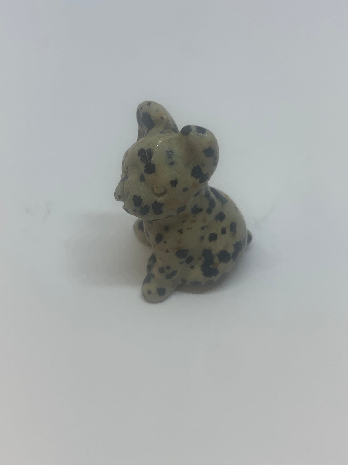 Dalmatian Jasper French Bulldog