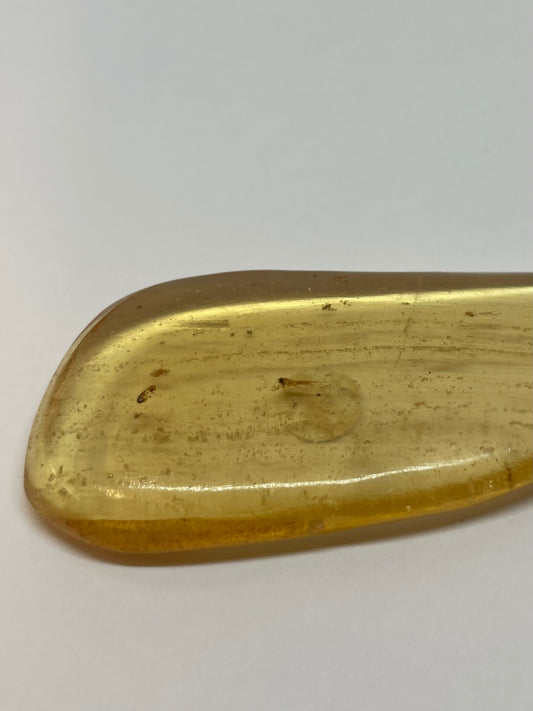 Amber With Insect Inclusion