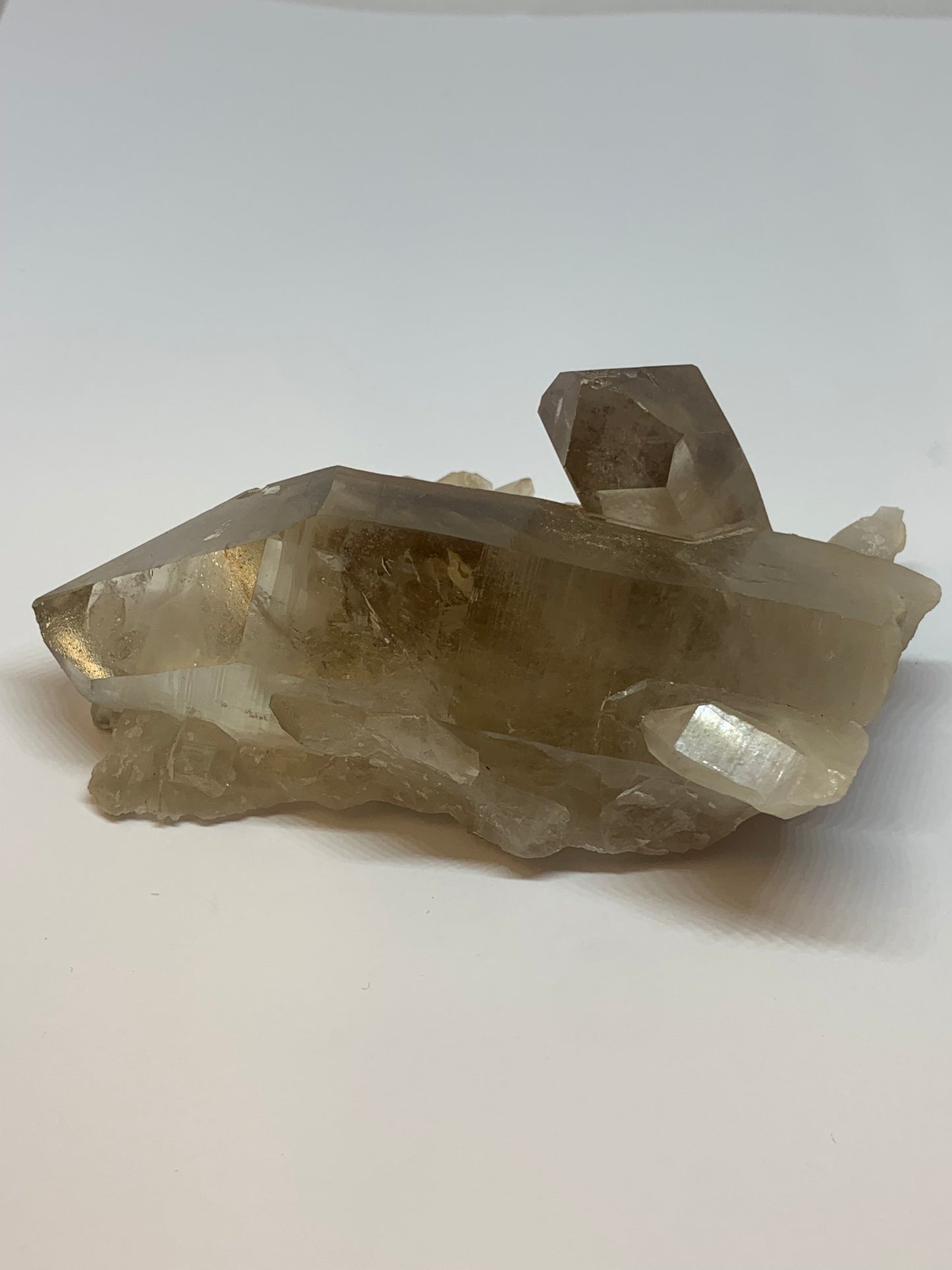 Smoky Quartz Cluster