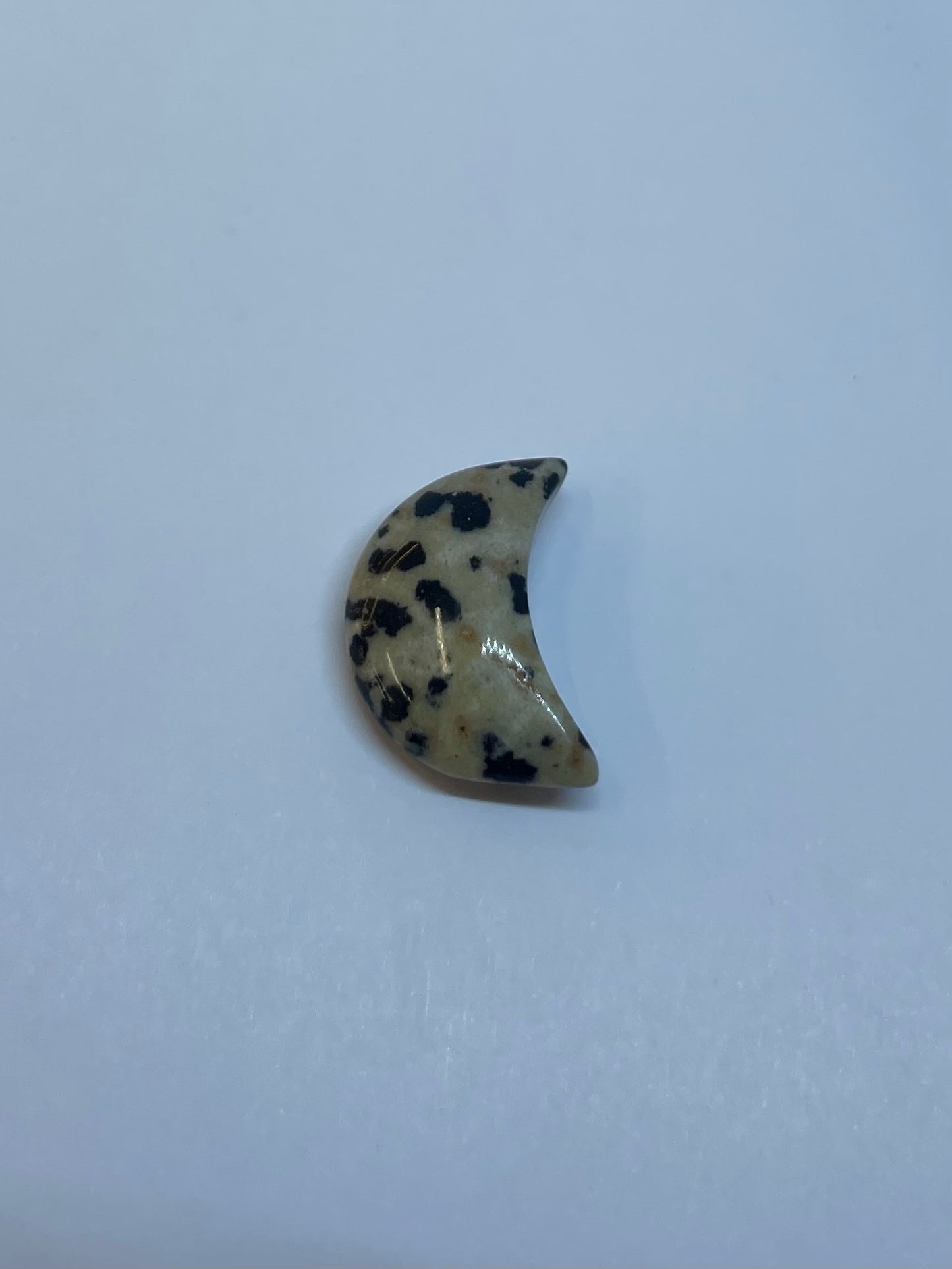 Dalmatian Jasper Moon